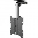 Stell stropni podesivi TV nosač SHO 3950 -  17" do 37"
